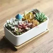 辦公室風(fēng)水禁忌&催財運**！新的一年加薪看這里！